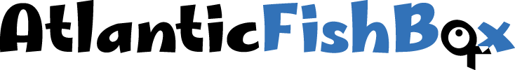 Modern Plastik